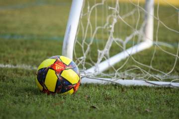 致敬莫德里奇（配图示意）